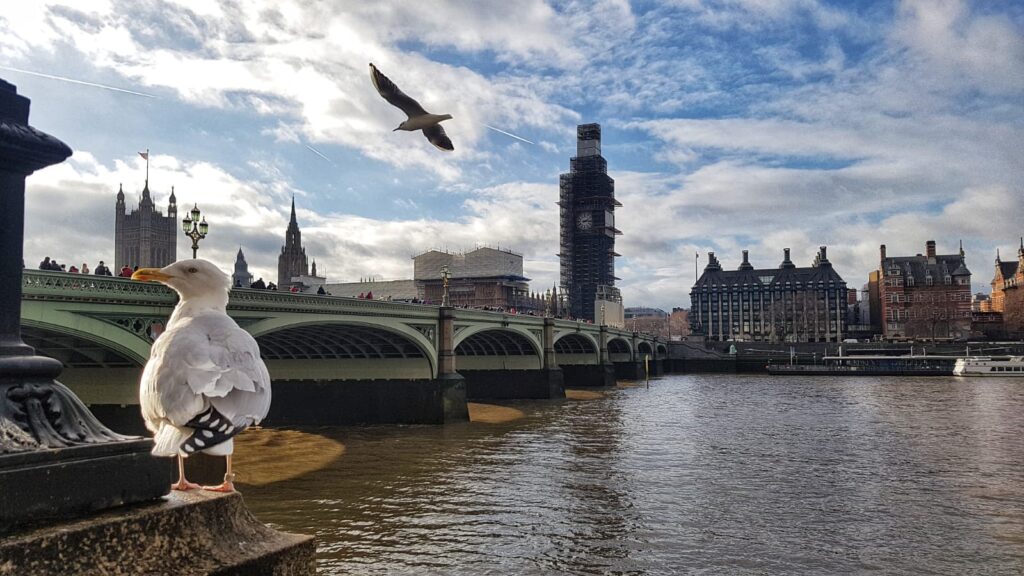 Vista sul Big Ben e sul Westminster Bridge dalla Queen's Walk. 