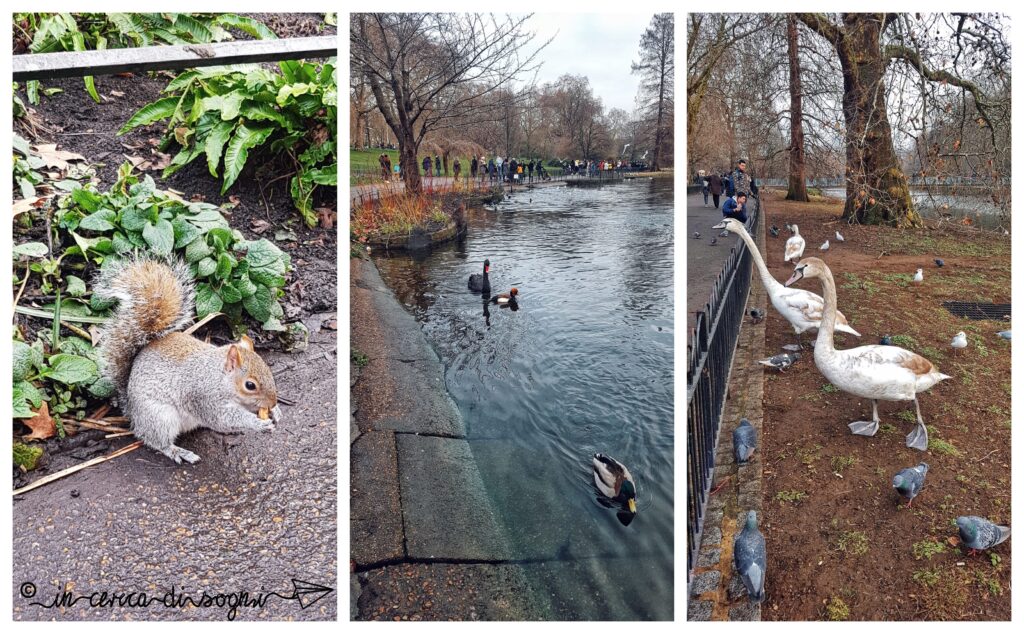 St James Park. 